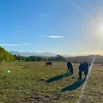 8 Pers Avec Terrasse - Api-1-52-1027 Camon (Languedoc-Roussillon)