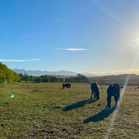 8 Pers Avec Terrasse - Api-1-52-1027 Camon (Languedoc-Roussillon)