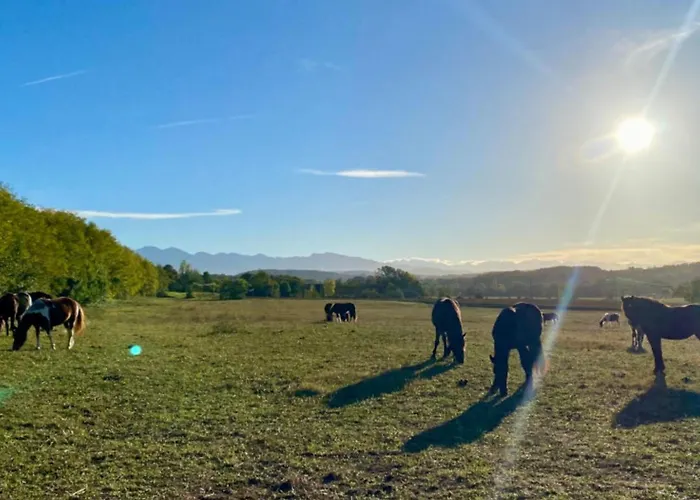 8 Pers Avec Terrasse - Api-1-52-1027 Camon (Languedoc-Roussillon)