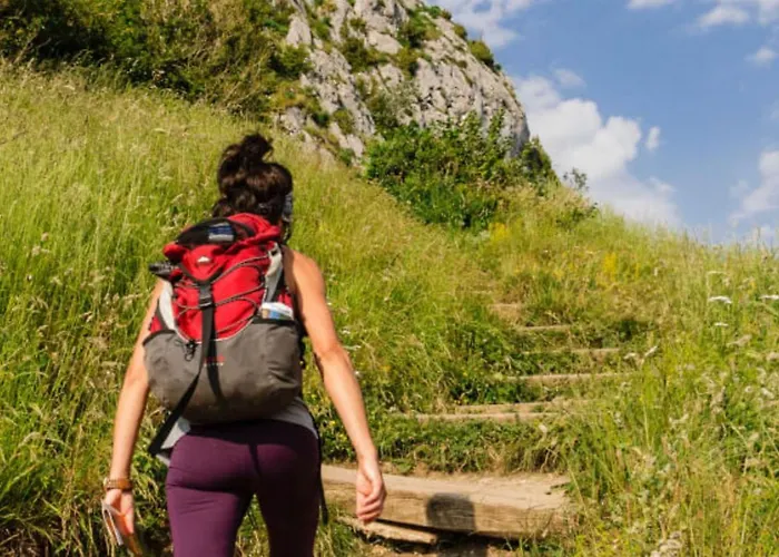 8 Pers Avec Terrasse - Api-1-52-1027